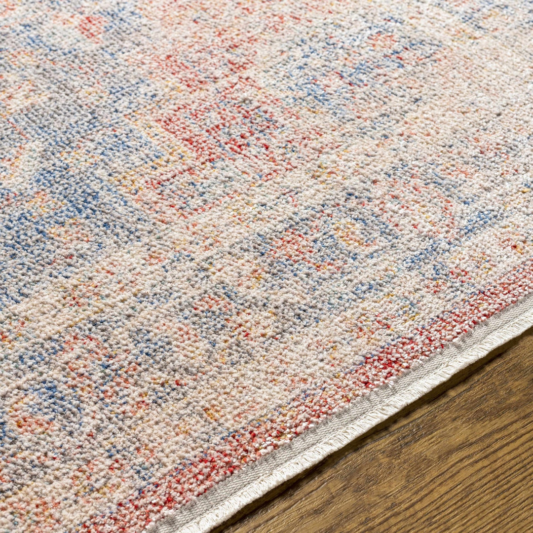 Akio Traditional Style Red & Blue Rug - The Rug Decor