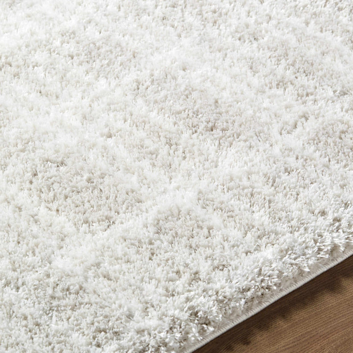 Alamea Modern Solid Design Ivory Area Rug - The Rug Decor