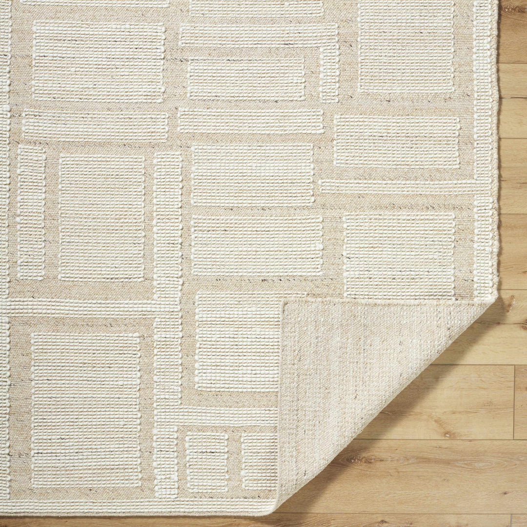 Alayka Hand Woven Contemporary Beige And Ivory Area Rug - The Rug Decor