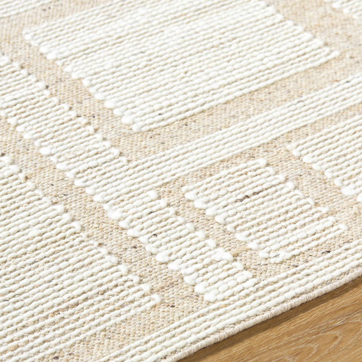 Alayka Hand Woven Contemporary Beige And Ivory Area Rug - The Rug Decor