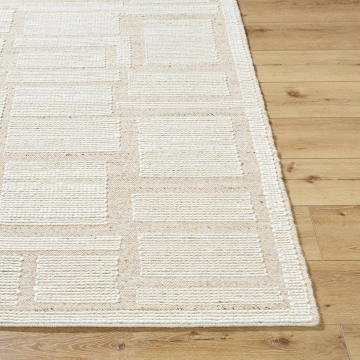 Alayka Hand Woven Contemporary Beige And Ivory Area Rug - The Rug Decor
