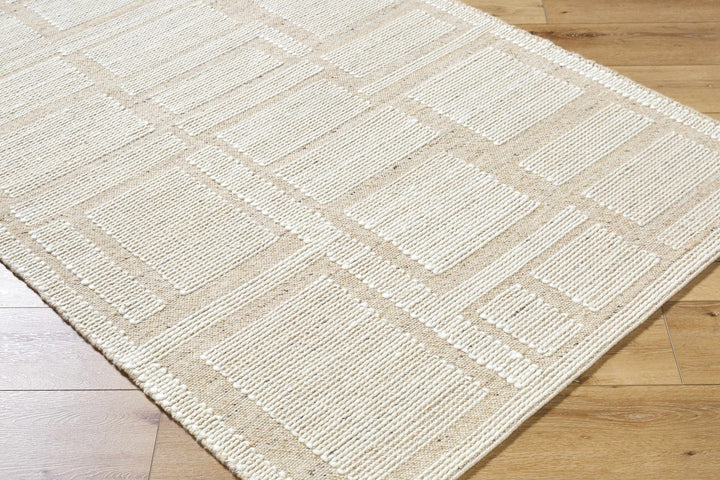 Alayka Hand Woven Contemporary Beige And Ivory Area Rug - The Rug Decor