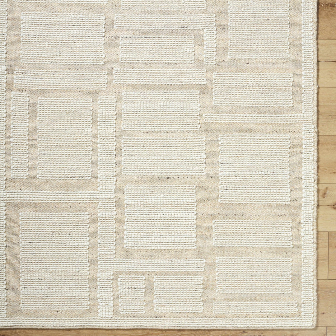 Alayka Hand Woven Contemporary Beige And Ivory Area Rug - The Rug Decor