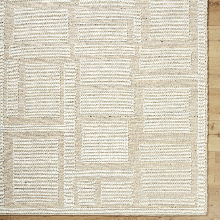 Alayka Hand Woven Contemporary Beige And Ivory Area Rug - The Rug Decor