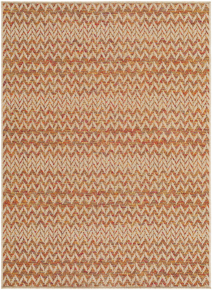 Alazne Contemporary Style Orange And Beige Outdoor Area Rug - The Rug Decor