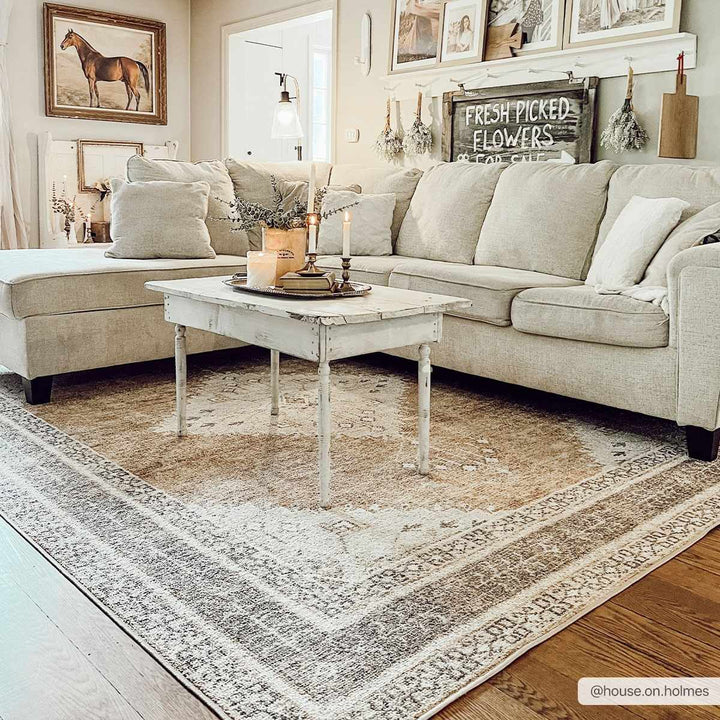 Albas Traditional Style Beige And Brown Washable Area Rug - The Rug Decor
