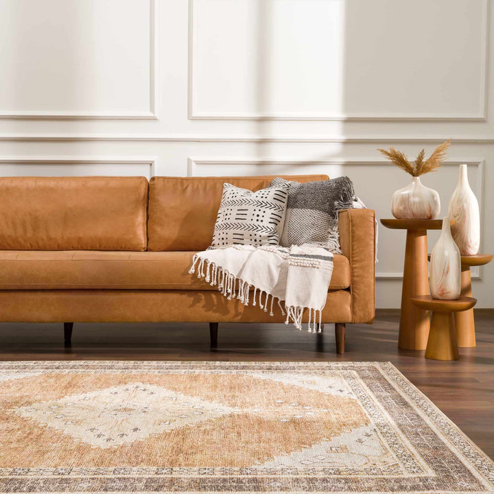 Albas Traditional Style Beige And Brown Washable Area Rug - The Rug Decor