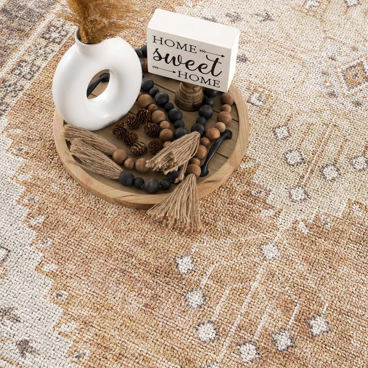 Albas Traditional Style Beige And Brown Washable Area Rug - The Rug Decor