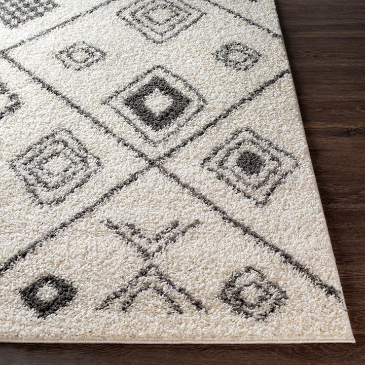 Albury Modern Geometrical Design Ivory And Charcoal Area Rug - The Rug Decor