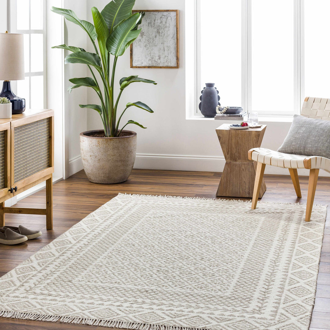 Albus Modern Geometric Design Beige Hand Woven Wool Area Rug