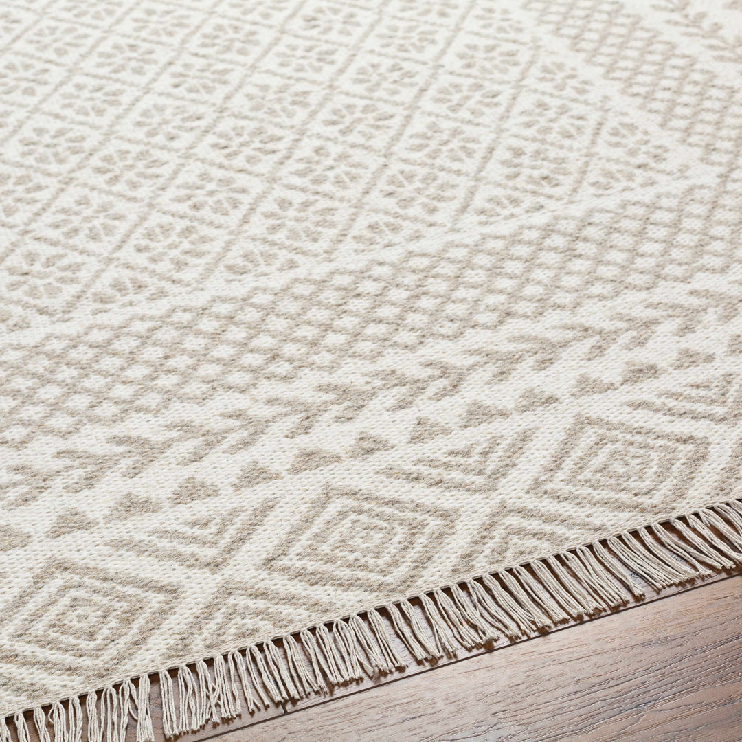 Albus Modern Geometric Design Beige Hand Woven Wool Area Rug