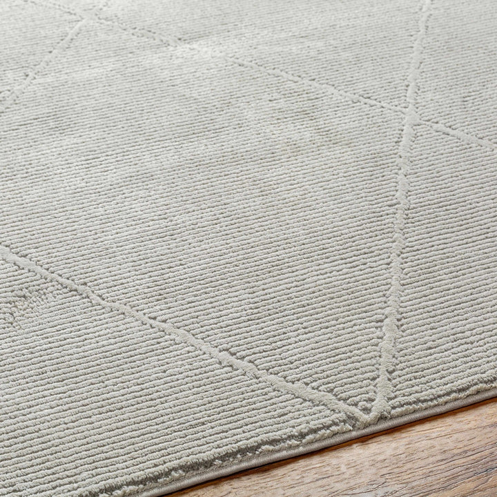 Aldis Bohemian Style Gray Plush Textured Washable Rug - The Rug Decor