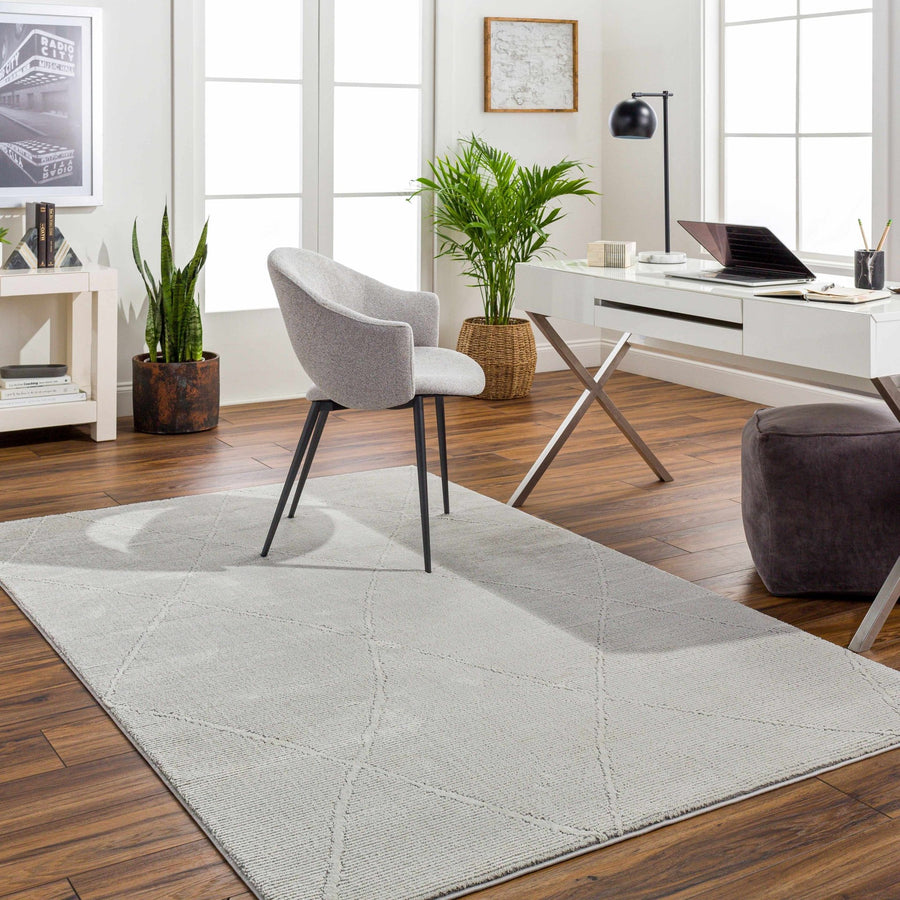 Aldis Bohemian Style Gray Plush Textured Washable Rug - The Rug Decor