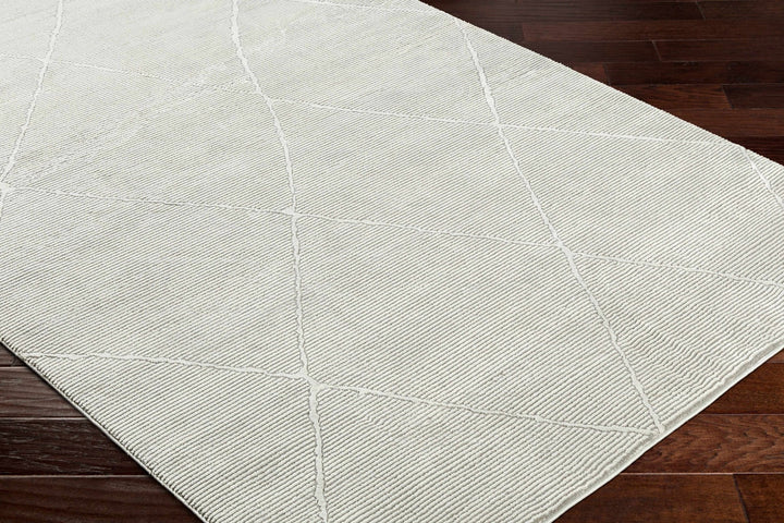 Aldis Bohemian Style Gray Plush Textured Washable Rug - The Rug Decor