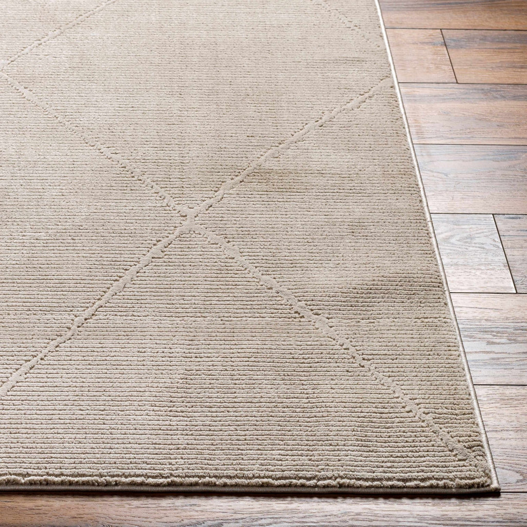 Aldis Bohemian Style Tan Plush Textured Washable Rug - The Rug Decor