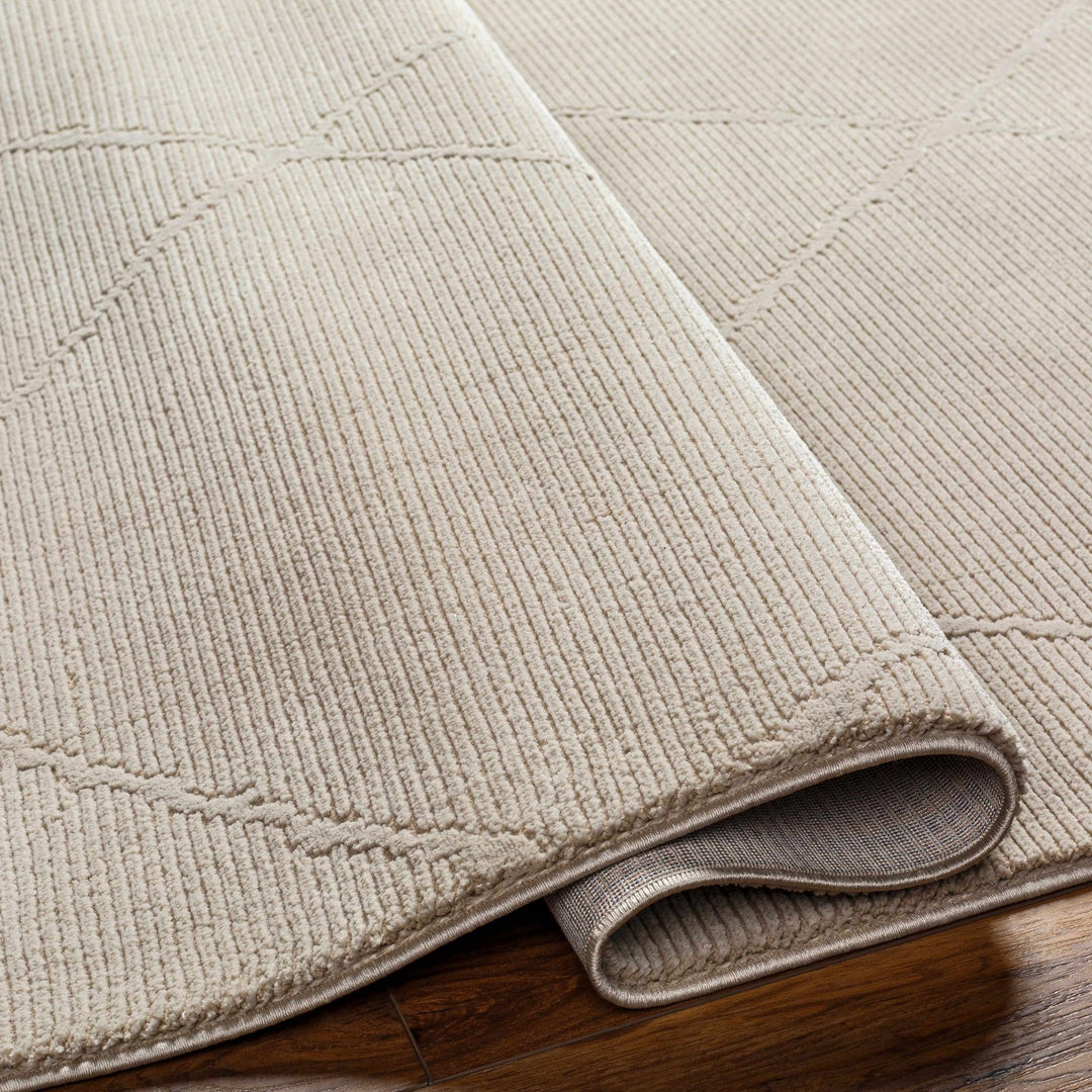 Aldis Bohemian Style Tan Plush Textured Washable Rug - The Rug Decor