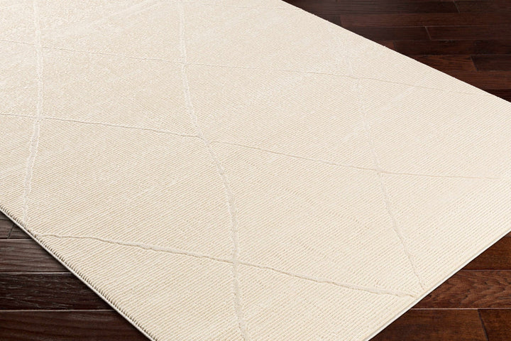 Aldis Modern Style Beige Washable Rug - The Rug Decor