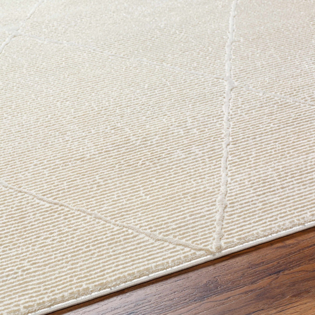 Aldis Modern Style Beige Washable Rug - The Rug Decor