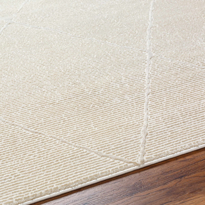 Aldis Modern Style Beige Washable Rug - The Rug Decor