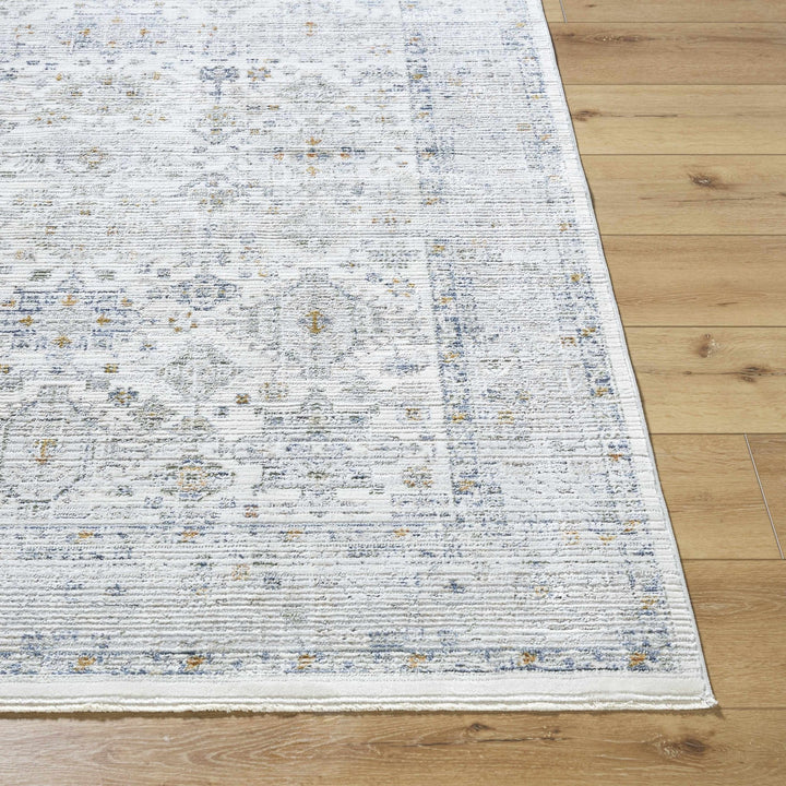 Aleron Traditional Style Gray Rug - The Rug Decor