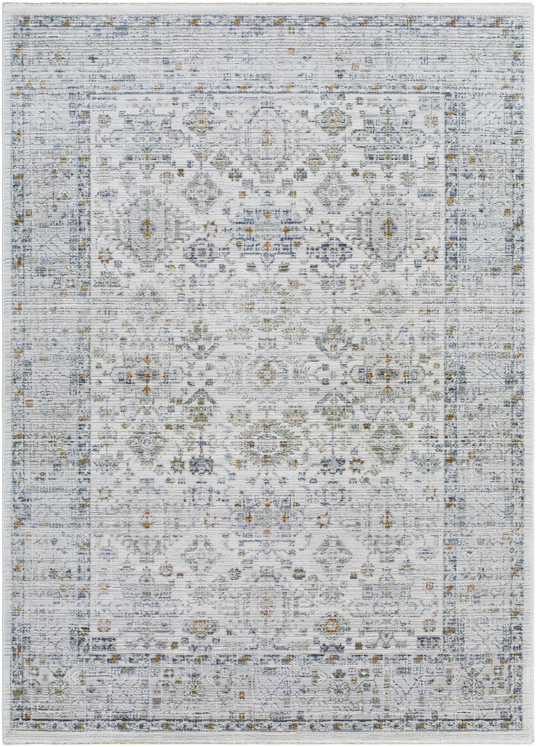 Aleron Traditional Style Gray Rug - The Rug Decor