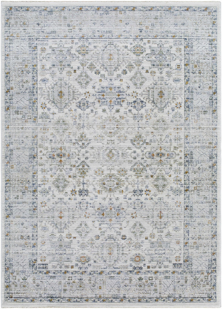 Aleron Traditional Style Gray Rug - The Rug Decor
