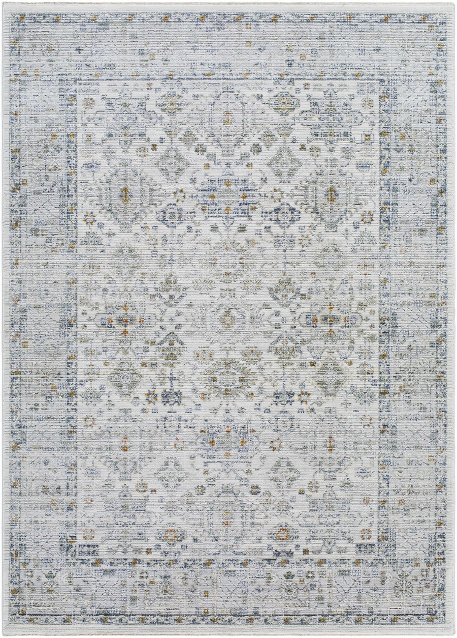 Aleron Traditional Style Gray Rug - The Rug Decor