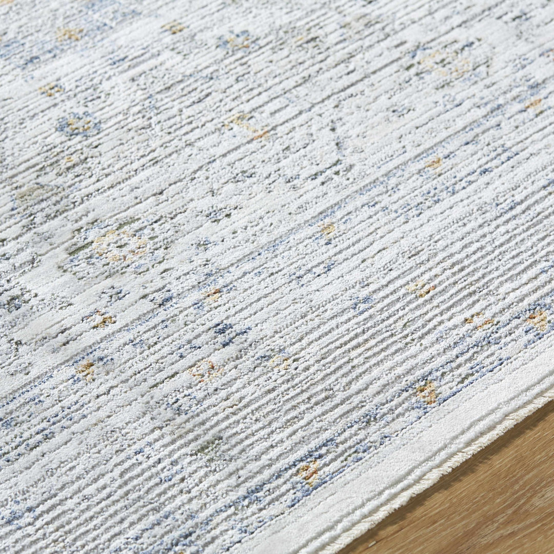 Aleron Traditional Style Gray Rug - The Rug Decor