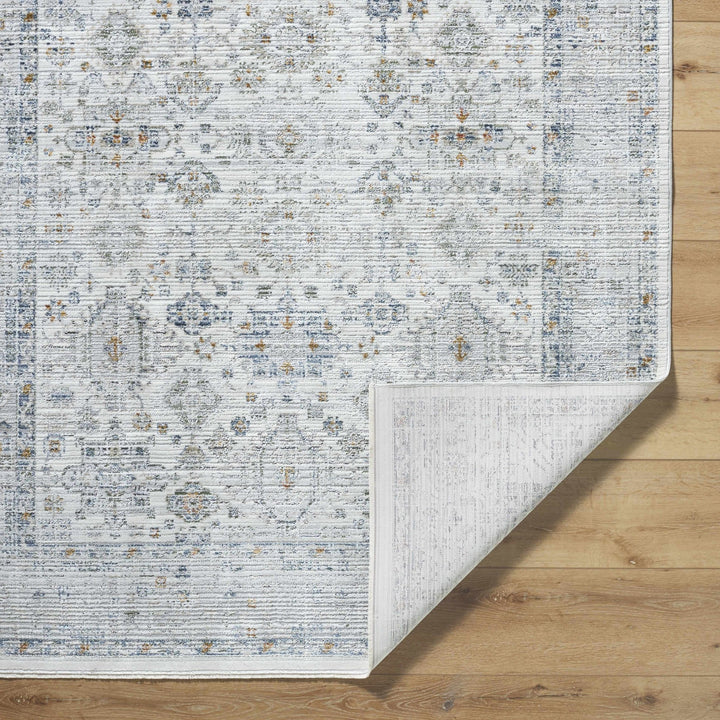 Aleron Traditional Style Gray Rug - The Rug Decor