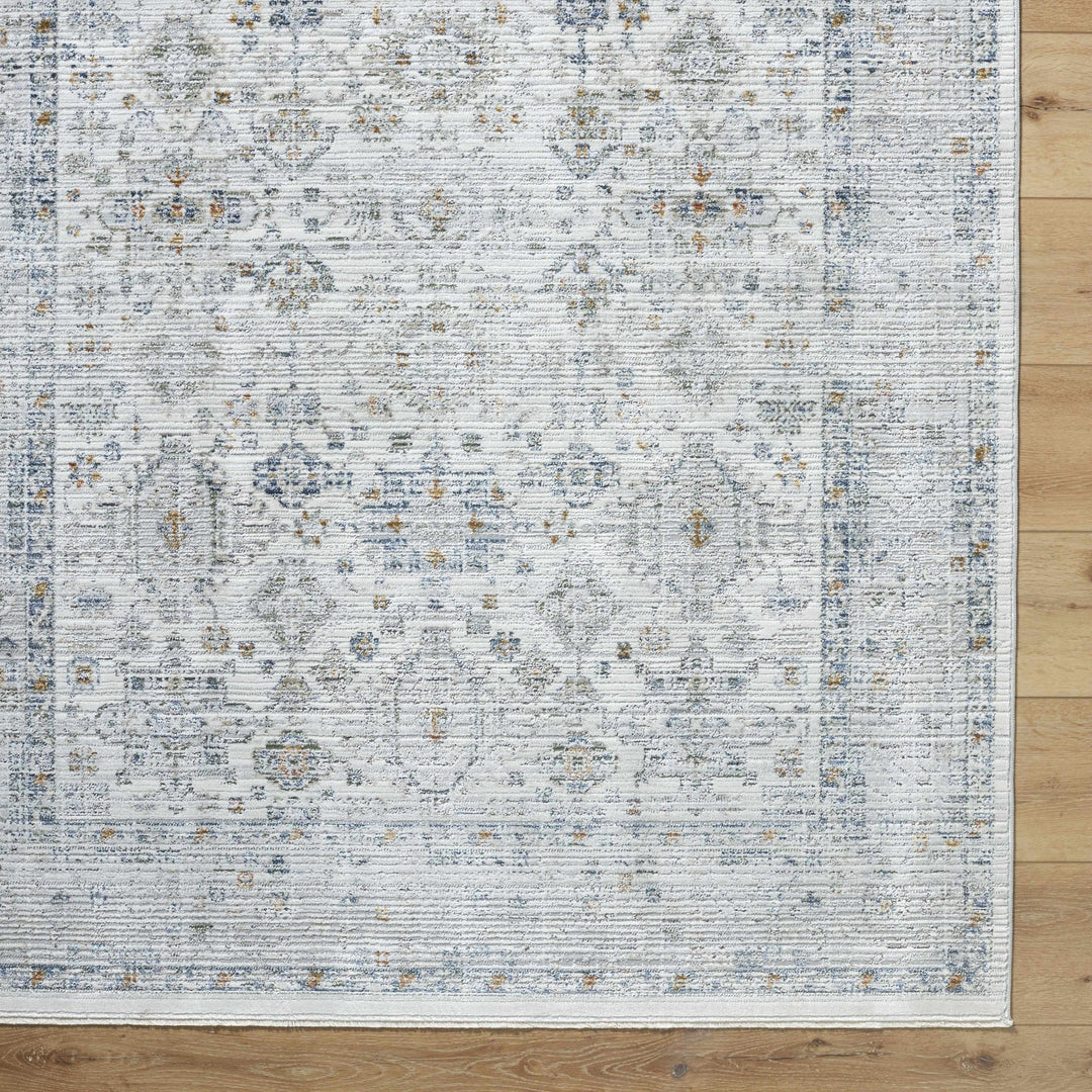 Aleron Traditional Style Gray Rug - The Rug Decor
