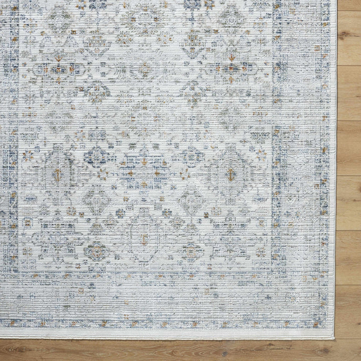 Aleron Traditional Style Gray Rug - The Rug Decor