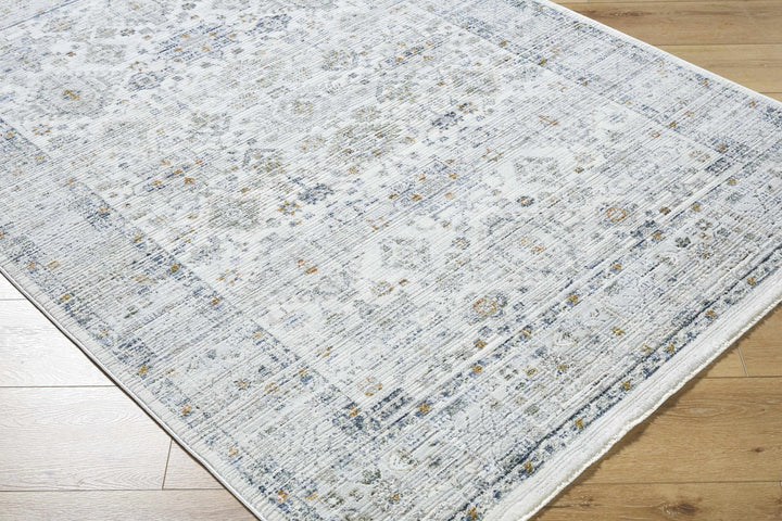 Aleron Traditional Style Gray Rug - The Rug Decor