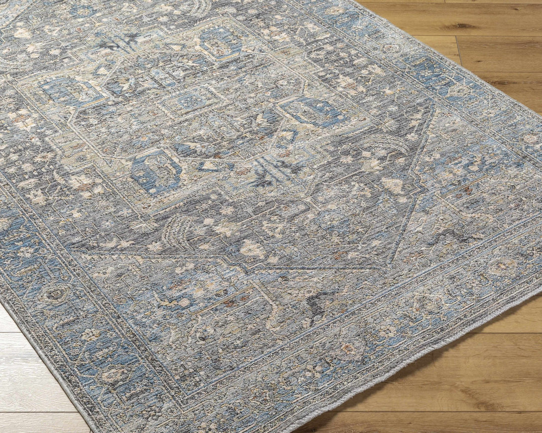 Alina Traditional Style Beige And Blue Area Rug - The Rug Decor