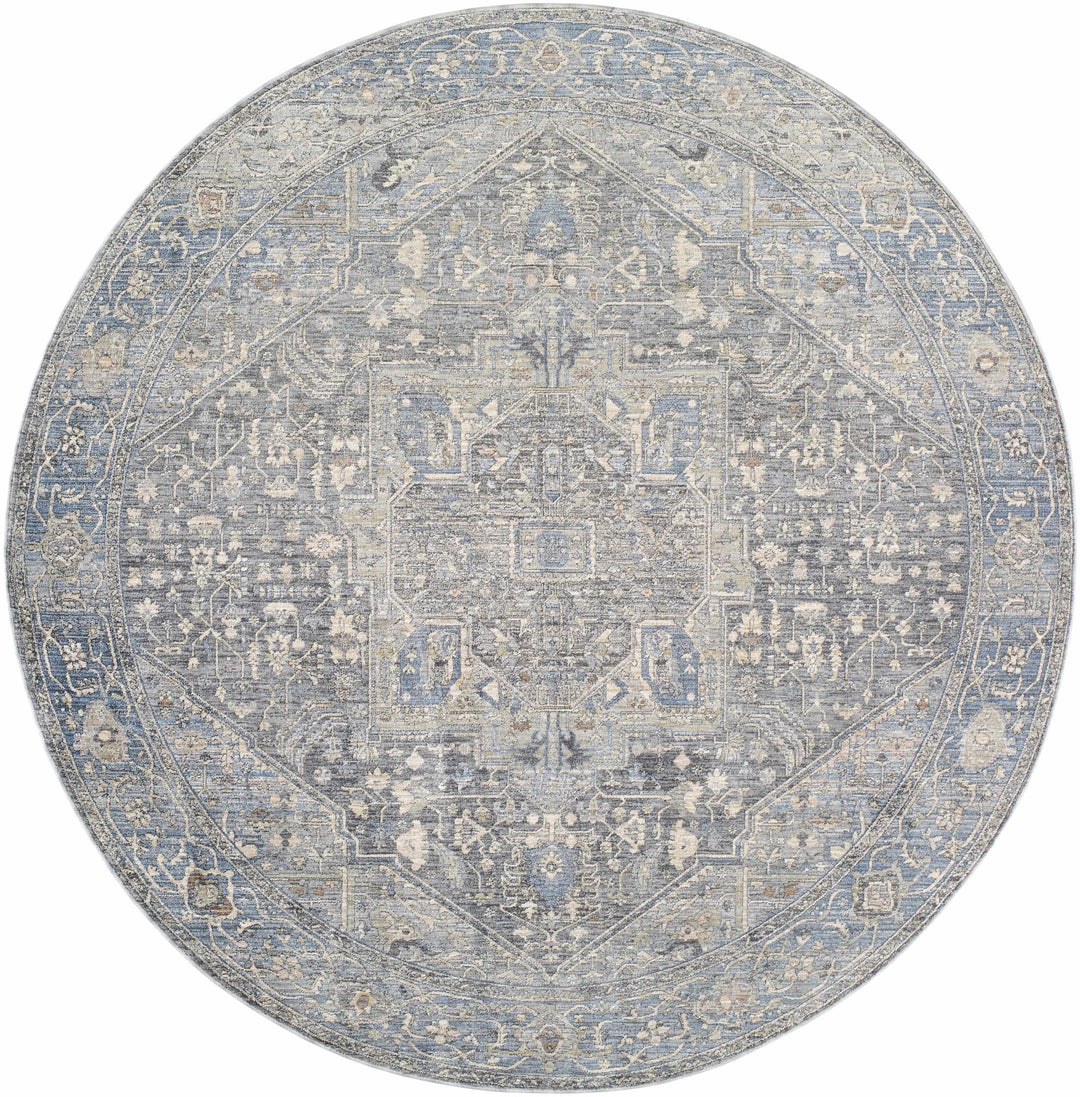 Alina Traditional Style Beige And Blue Area Rug - The Rug Decor