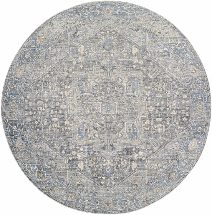 Alina Traditional Style Beige And Blue Area Rug - The Rug Decor