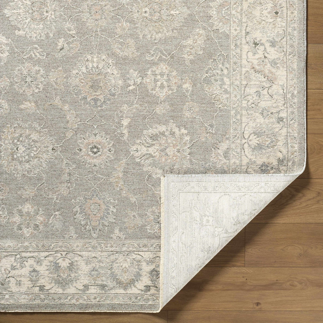 Alinae Traditional Oriental Design Beige And Gray Area Rug - The Rug Decor