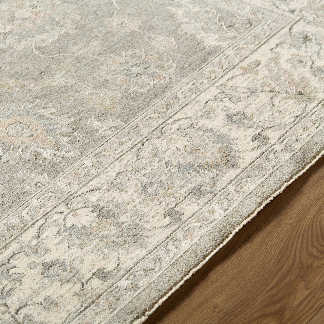 Alinae Traditional Oriental Design Beige And Gray Area Rug - The Rug Decor