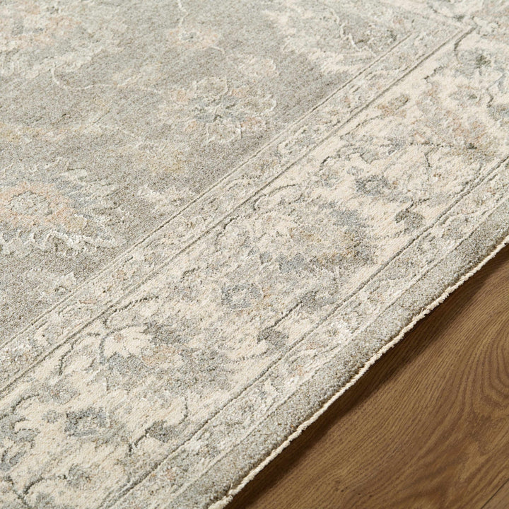 Alinae Traditional Oriental Design Beige And Gray Area Rug - The Rug Decor
