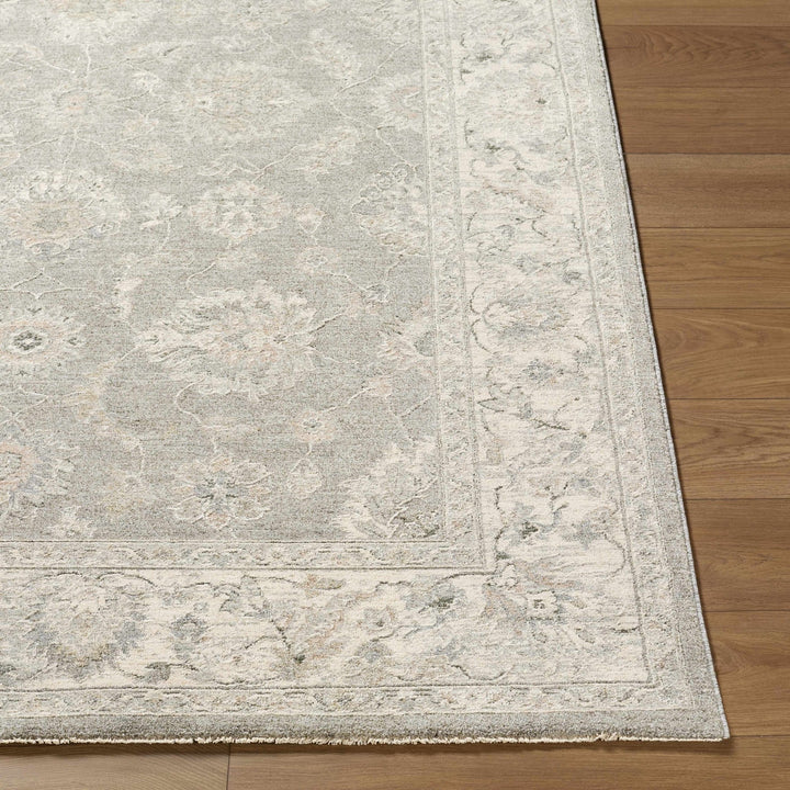 Alinae Traditional Oriental Design Beige And Gray Area Rug - The Rug Decor