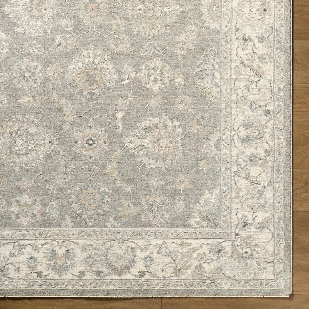 Alinae Traditional Oriental Design Beige And Gray Area Rug - The Rug Decor