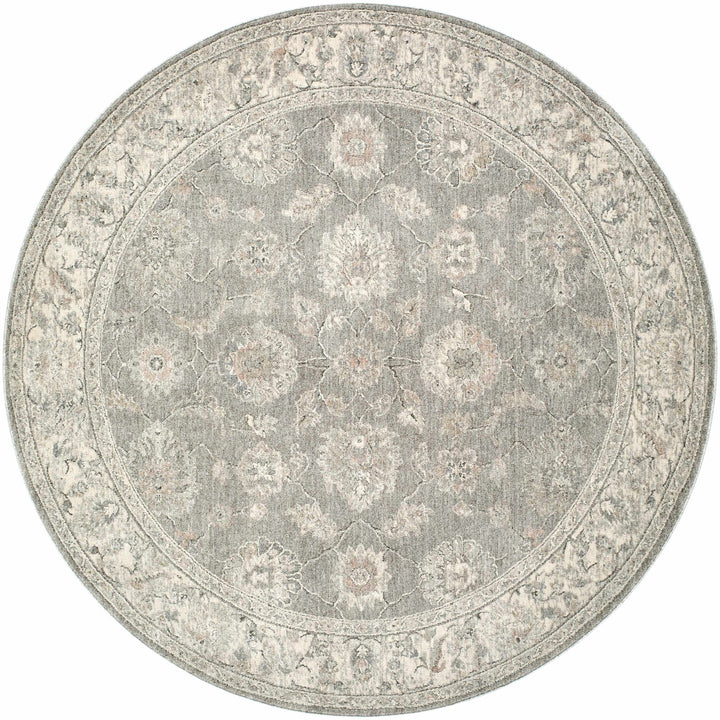 Alinae Traditional Oriental Design Beige And Gray Area Rug - The Rug Decor