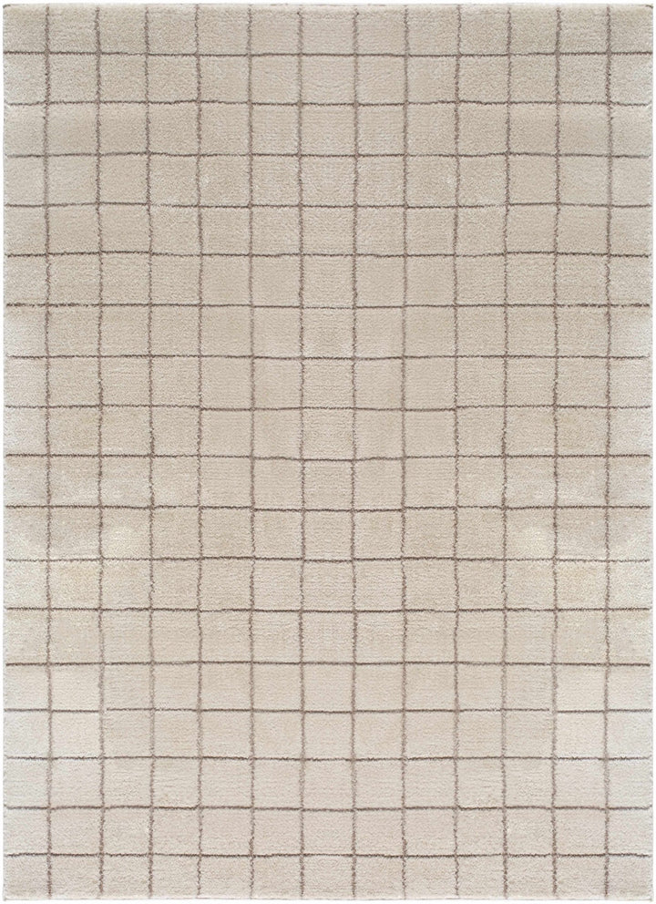 Alison Beige Modern Style Area Rug - The Rug Decor