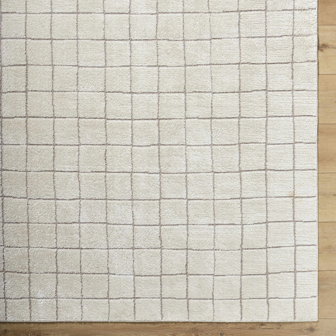 Alison Beige Modern Style Area Rug - The Rug Decor