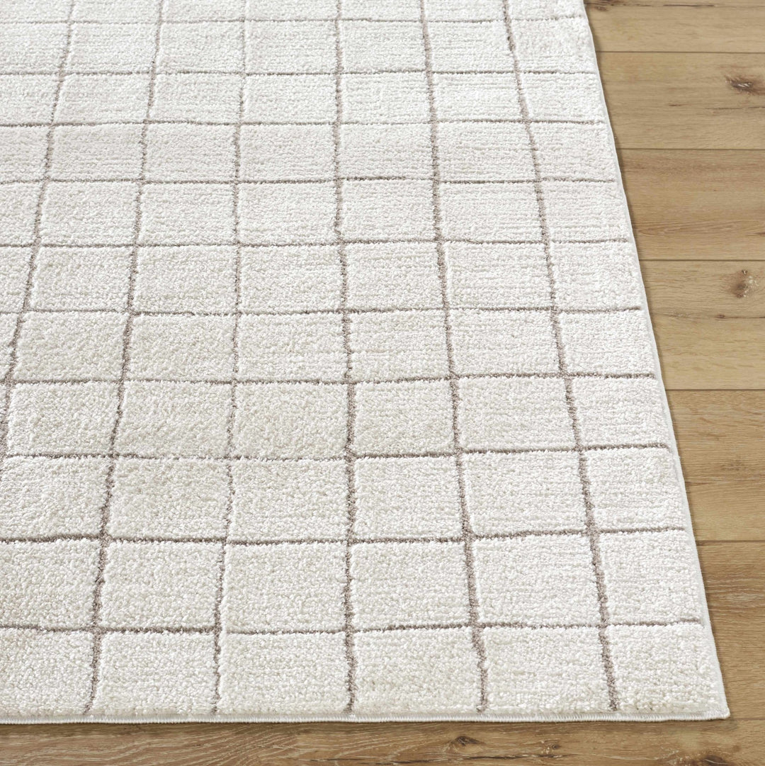 Alison Beige Modern Style Area Rug - The Rug Decor