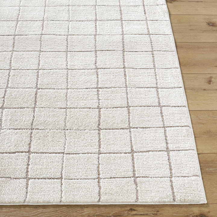 Alison Beige Modern Style Area Rug - The Rug Decor