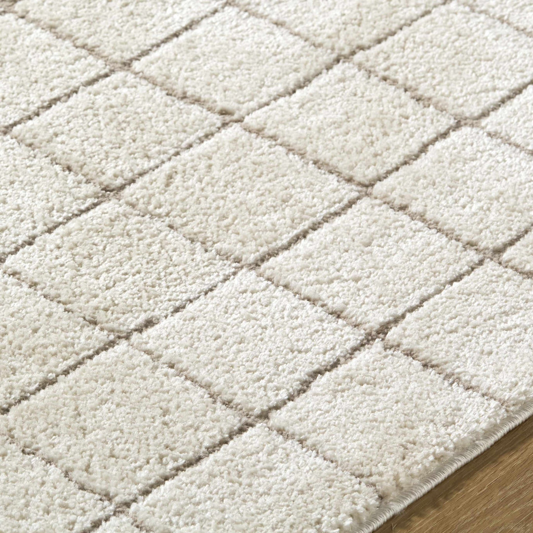 Alison Beige Modern Style Area Rug - The Rug Decor