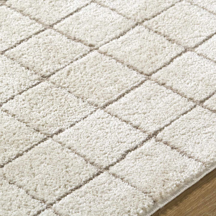 Alison Beige Modern Style Area Rug - The Rug Decor