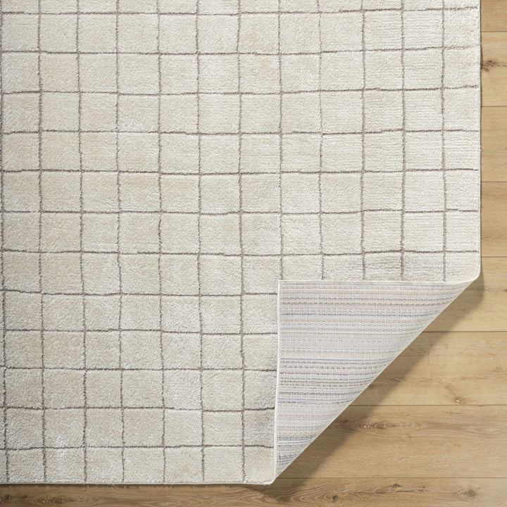 Alison Beige Modern Style Area Rug - The Rug Decor