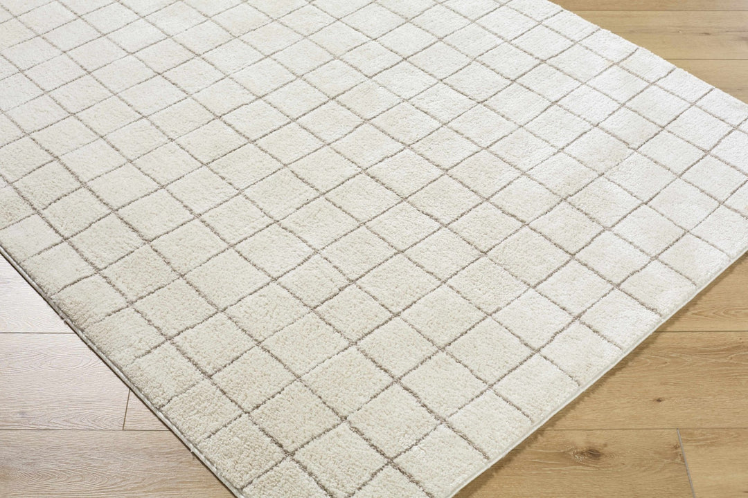 Alison Beige Modern Style Area Rug - The Rug Decor
