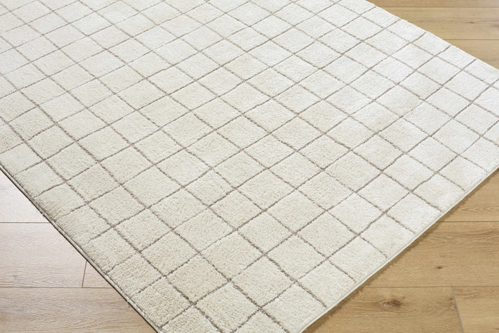Alison Beige Modern Style Area Rug - The Rug Decor